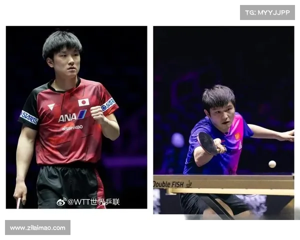 赛事激烈 场面 赛事激烈场面高潮迭起激战正酣视觉震撼观众热血沸腾永不落幕